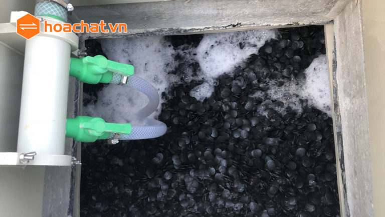 Giá thể MBBR là gì? Đặc tính, phân loại và ứng dụng nổi bật